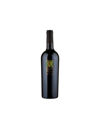 Feudi di San Gregorio Rubrato Aglianico Irpinia - 75 cl - Free shipping delivered to EUROPE and UK