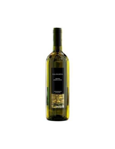 Pengue Falanghina Beneventano IGP - 75 cl - Free shipping delivered to EUROPE and UK