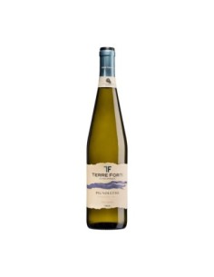 Terre Forti Pignoletto Bianco Frizzante DOC - 75 cl - Free shipping delivered to EUROPE and UK