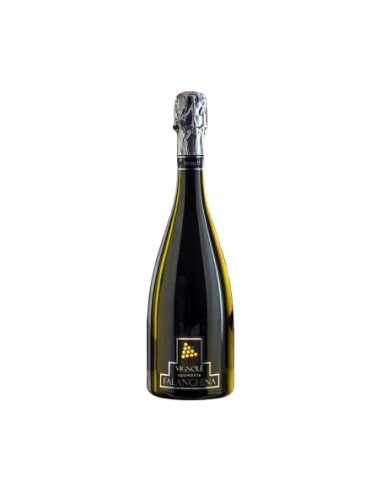 Vignole Vino Falanghina Sparkling - 75 cl - Free shipping delivered to EUROPE and UK