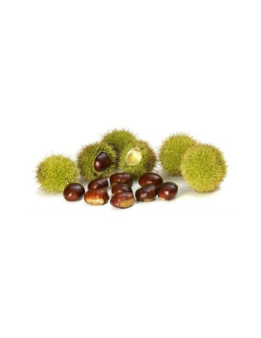 Avellino Chestnuts PGI - 1 Kg - Free shipping delivered to EUROPE and UK