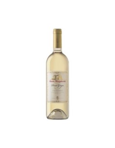 Santa Margherita Pinot Grigio Valdadige DOC - 75 cl - Livraison gratuite en EUROPE et au Royaume-Uni