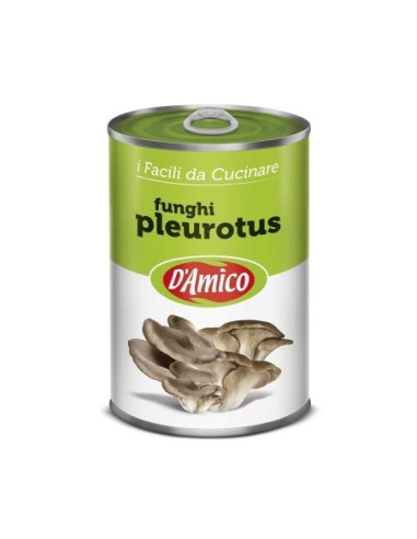 D'Amico Funghi Pleurotus al Naturale - 400 gr - Free shipping delivered to EUROPE and UK