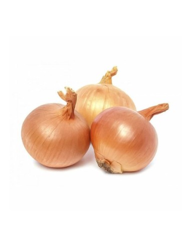 Golden onion in a net - 500 g - Free shipping delivered to EUROPE and UK