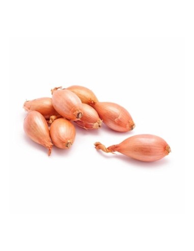 Mesh shallot - 250 g - Free shipping delivered to EUROPE and UK