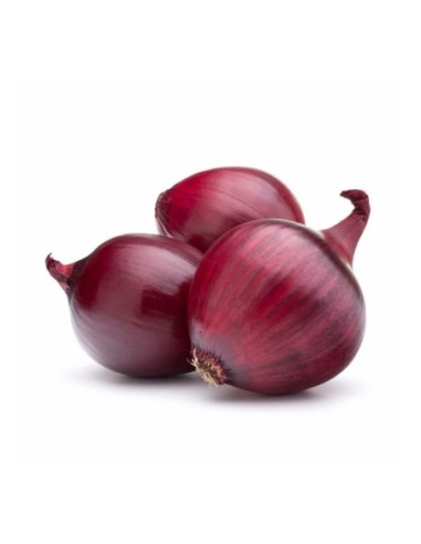 Red onion in net - 500 g - Free shipping delivered to EUROPE and UK