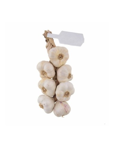 White Garlic Braid - approx. 500 g - Free shipping delivered to EUROPE and UK