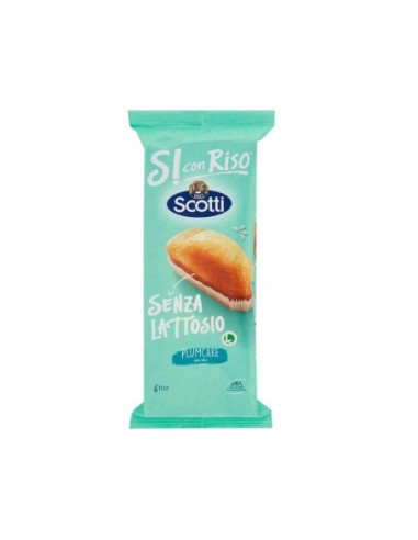 Scotti Lactose-Free PlumCake - 190 g - Free shipping delivered to EUROPE and UK