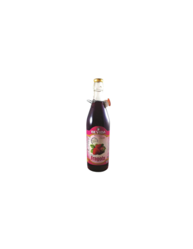 Bevida Strawberry Syrup - 1 lt - Free shipping delivered to EUROPE and UK