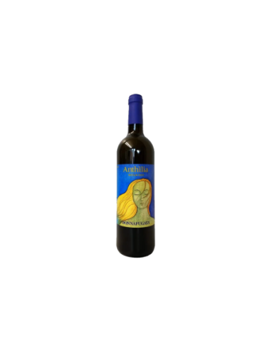 Donnafugata Anthilia Sicilia DOC - 75 cl - Free shipping delivered to EUROPE and UK