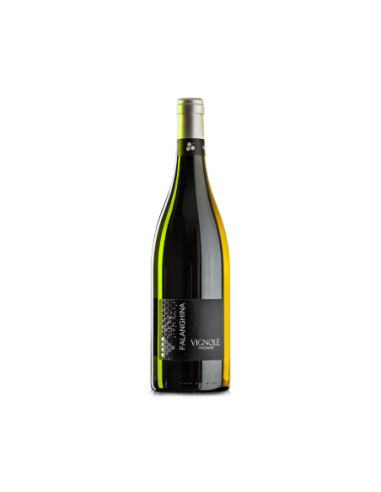 Vignole Falanghina Frizzante IGP - 75 cl