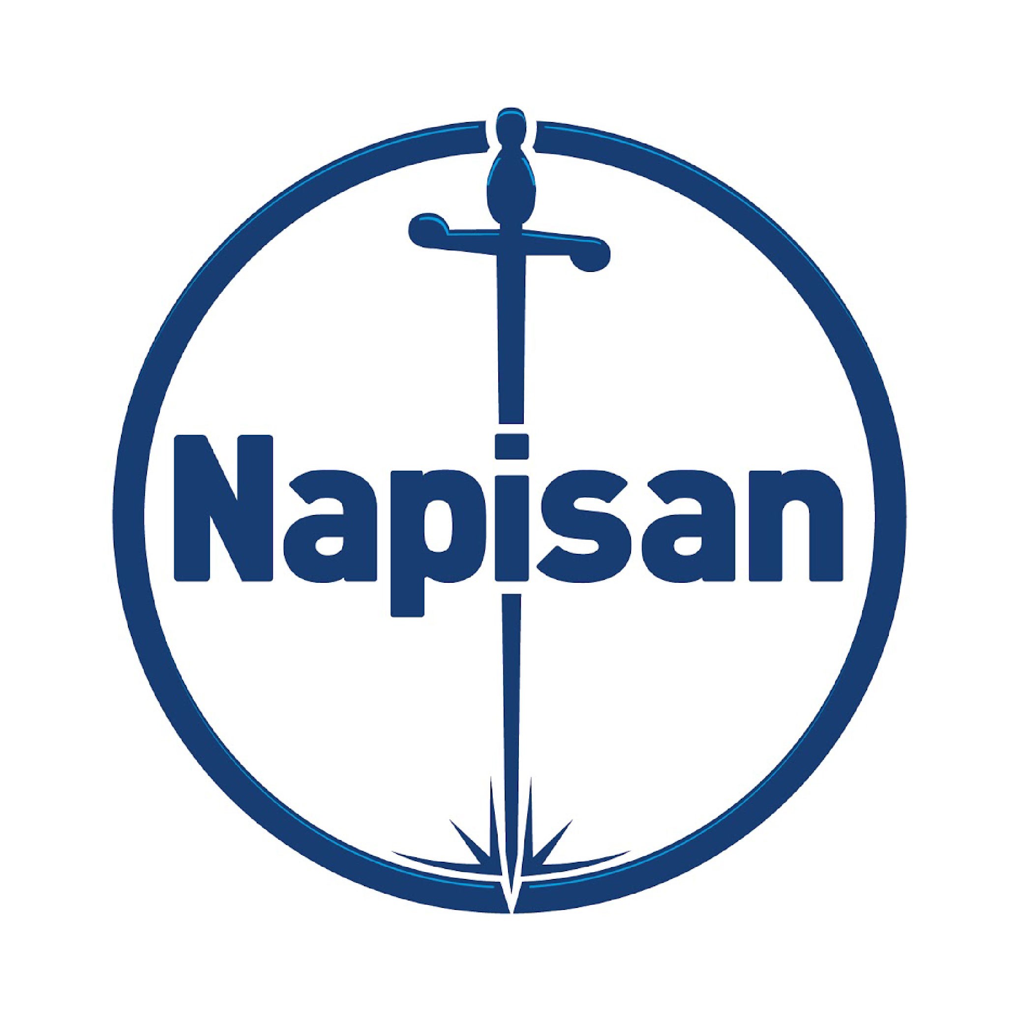 Napisan