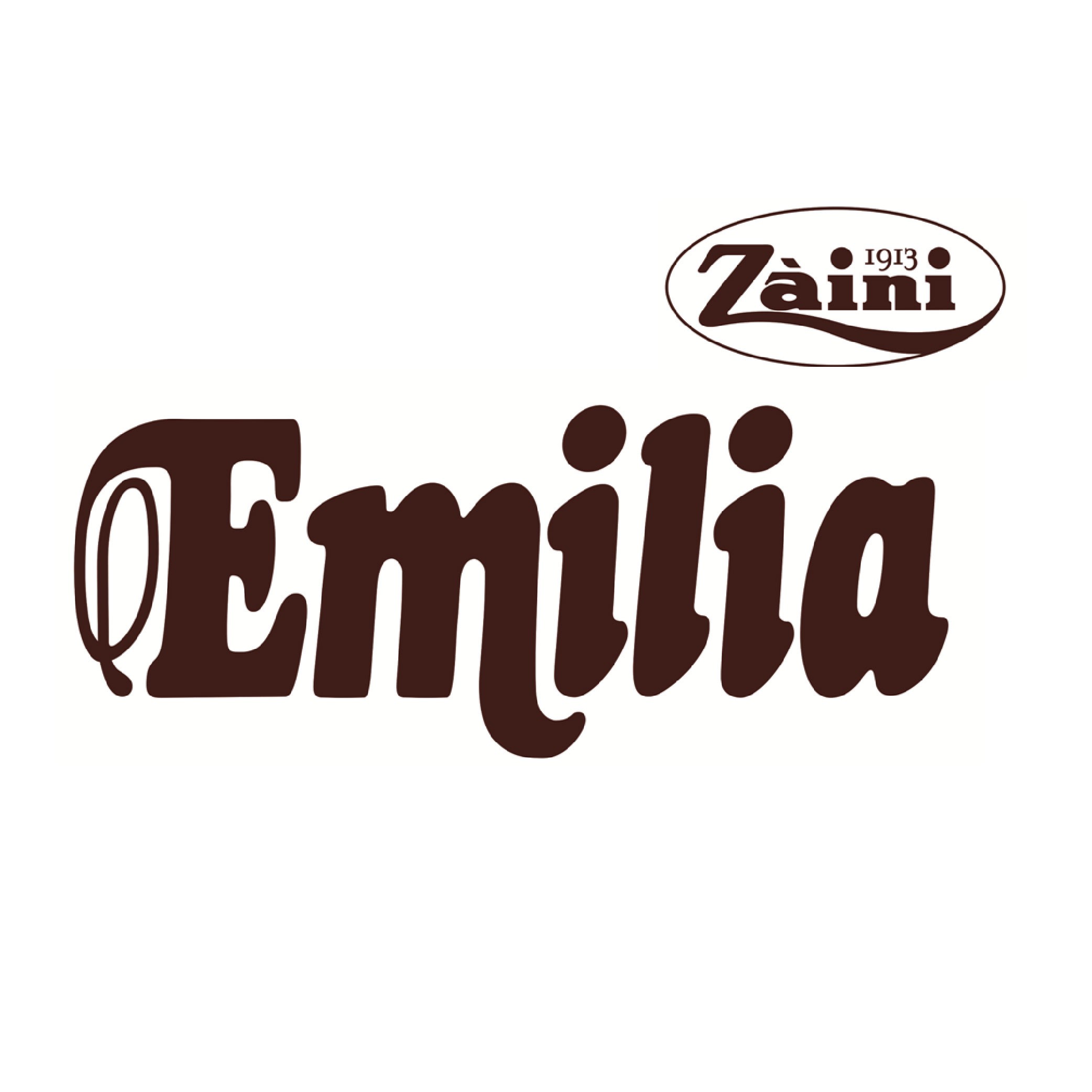 Zaini Emilia