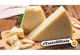 Pecorino Cheese – all you need to know